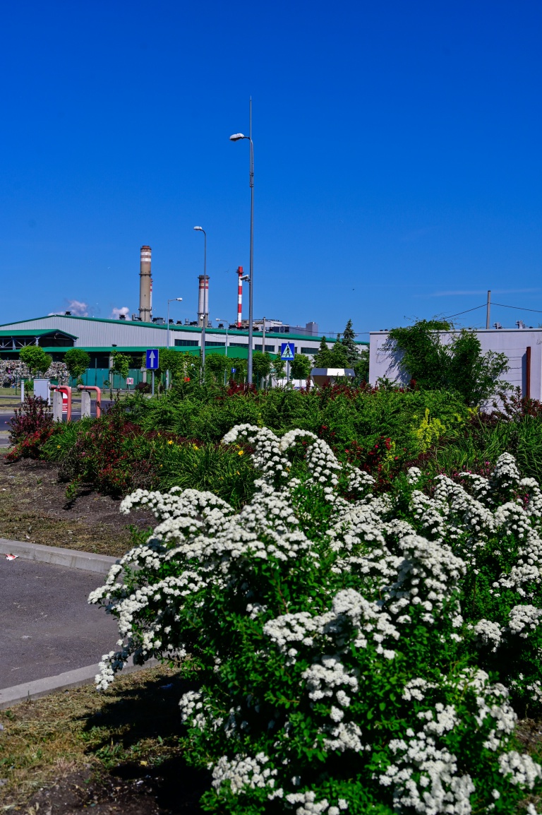 Kompostownia Magno Hortis i trawy 4
