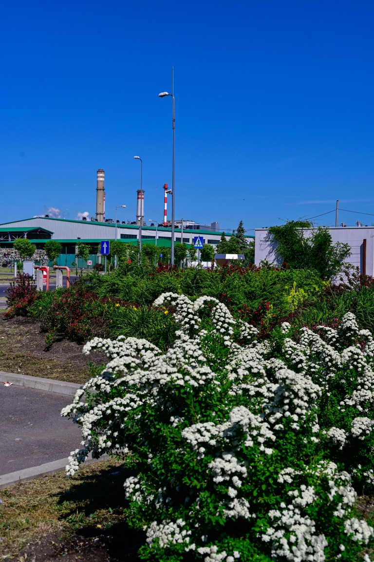 Kompostownia Magno Hortis i trawy